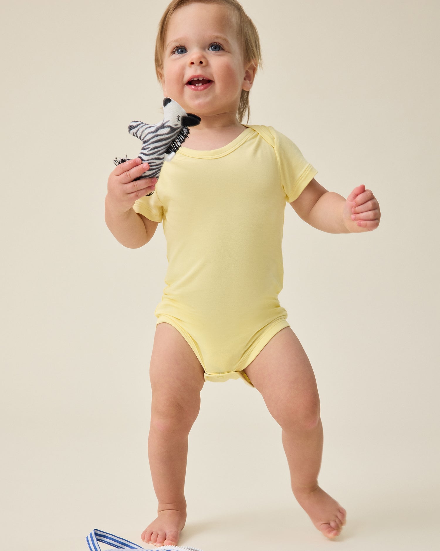 Baby Onesie Two-Pack | Honey Dandelion