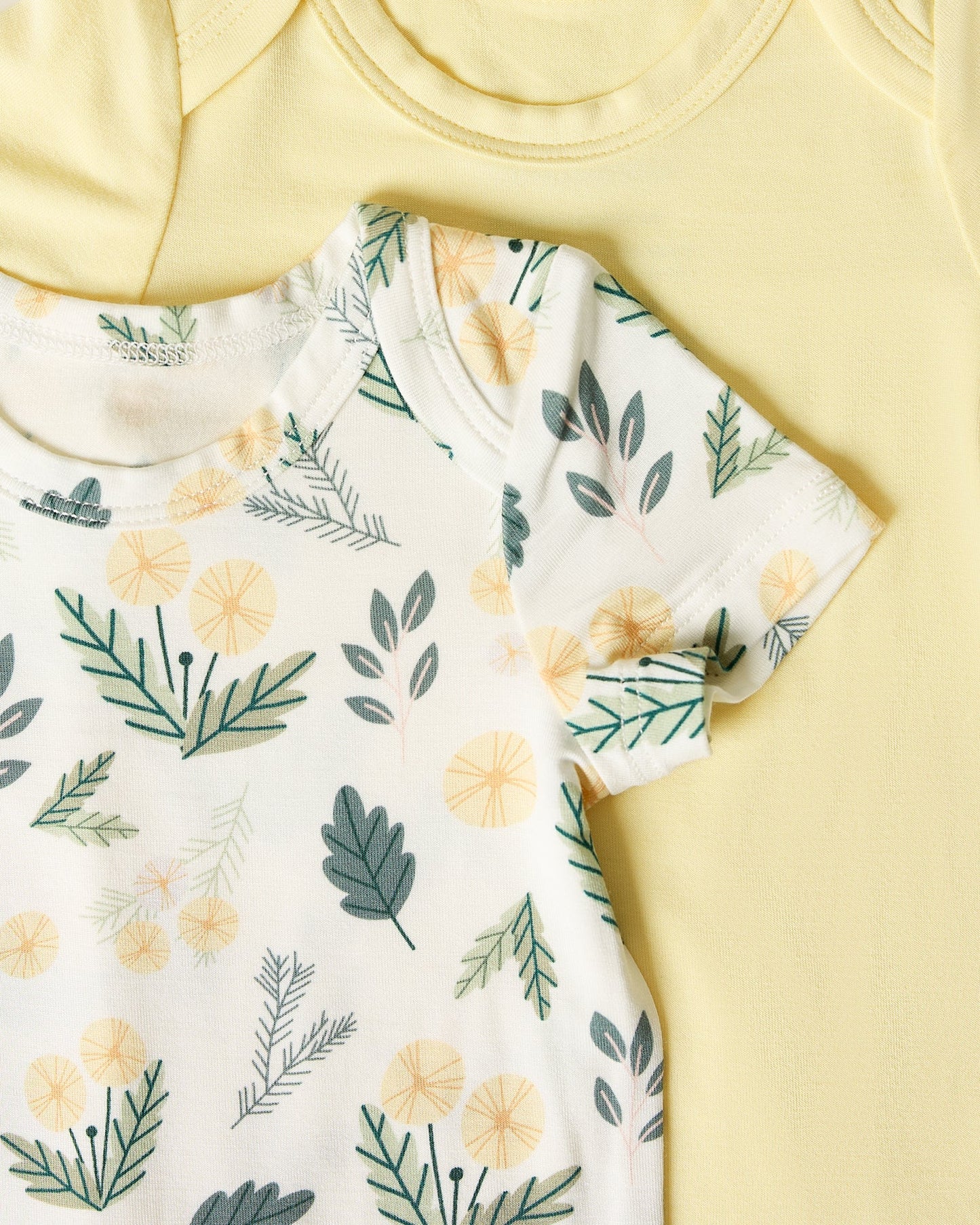 Baby Onesie Two-Pack | Honey Dandelion