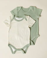 Newborn